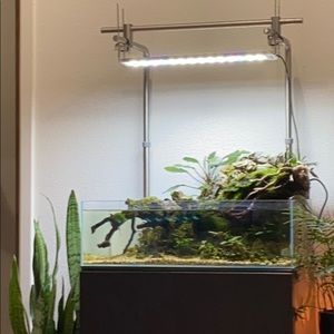 Meet your Posher, Dillon